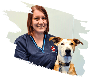 After Hours Vets Auckland - Emergency Veterinary Services